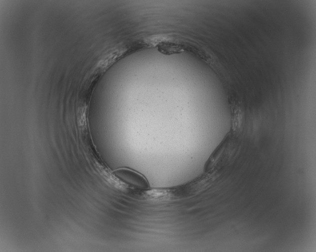 X0000076340477200610201739
