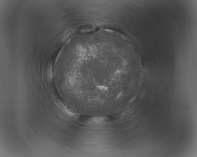 X0000076340479200610201739