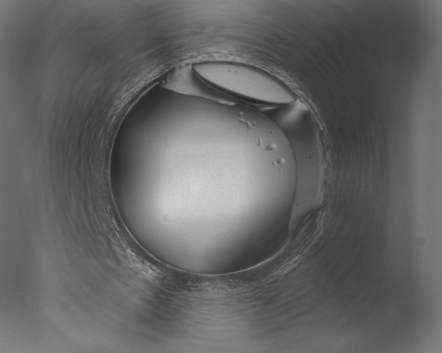 X0000076340481200610201738