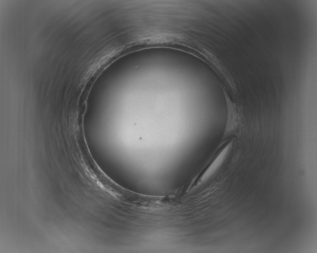 X0000076340485200610201738