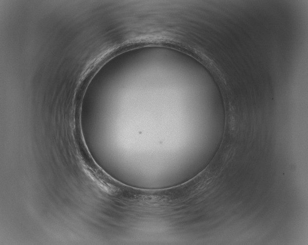 X0000076340486200610201738