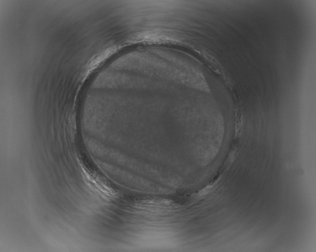X0000076340488200610201738