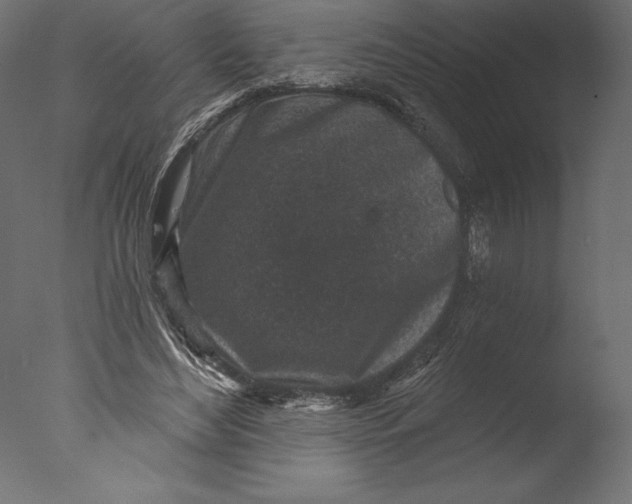 X0000076340492200610201738
