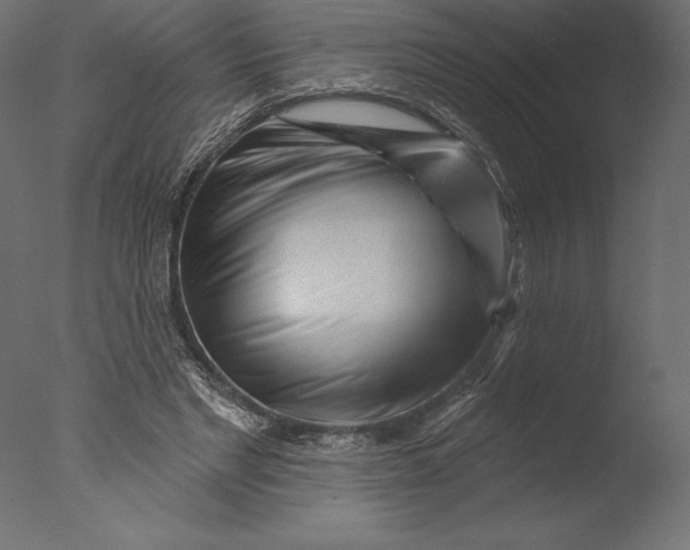 X0000076340493200610201738
