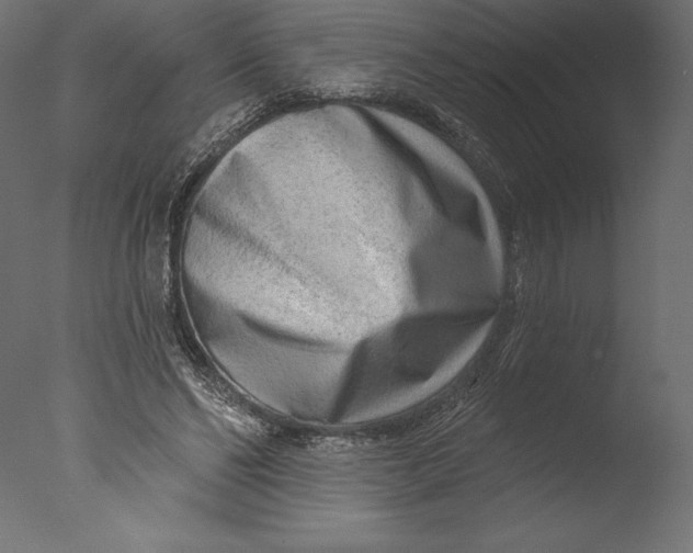 X0000076340494200610201738