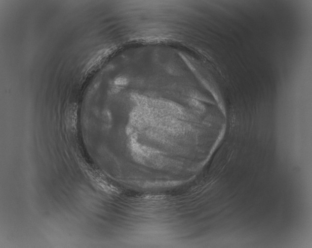 X0000076340495200610201738