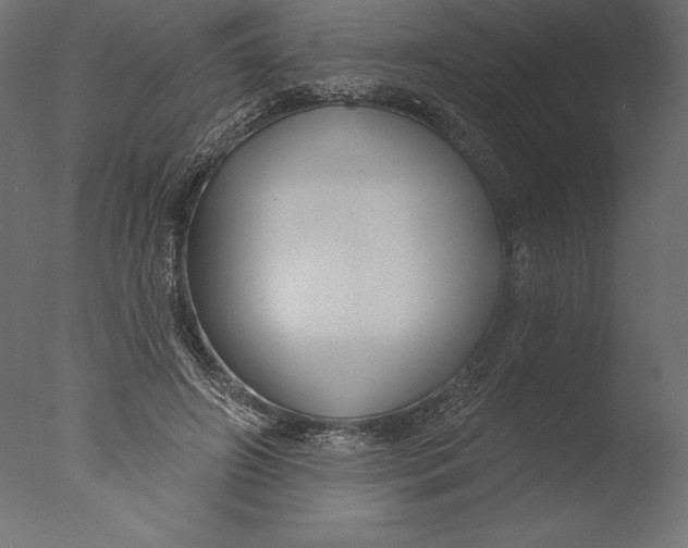 X0000076340498200610201738