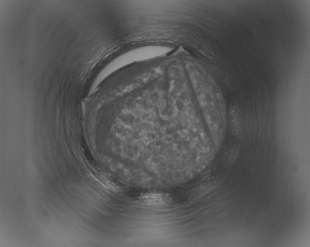 X0000076340499200610201738