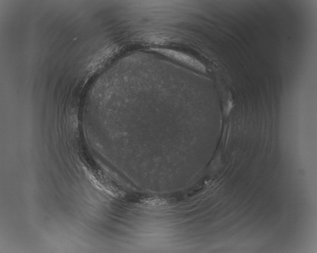 X0000076340500200610201738