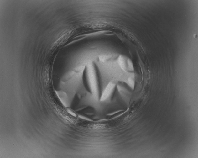 X0000076340501200610201738