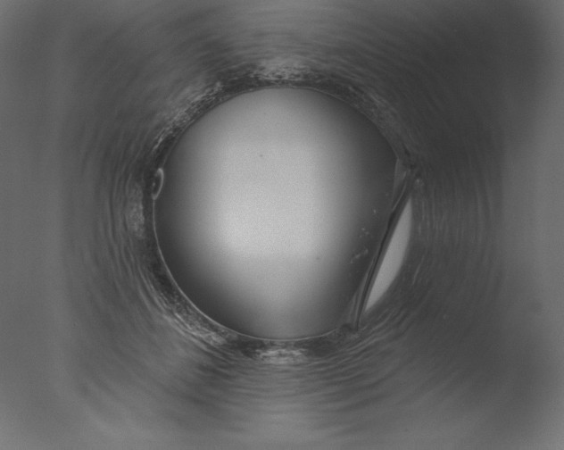 X0000076340508200610201738