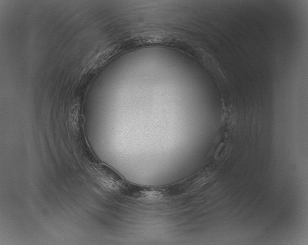 X0000076340509200610201737