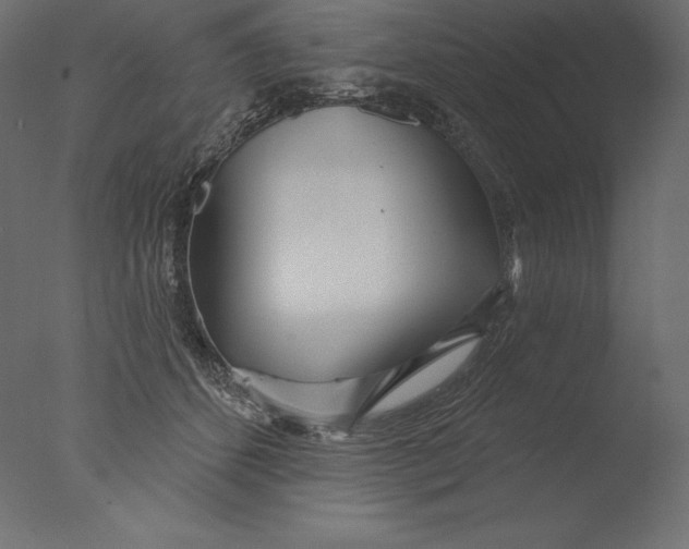 X0000076340512200610201737