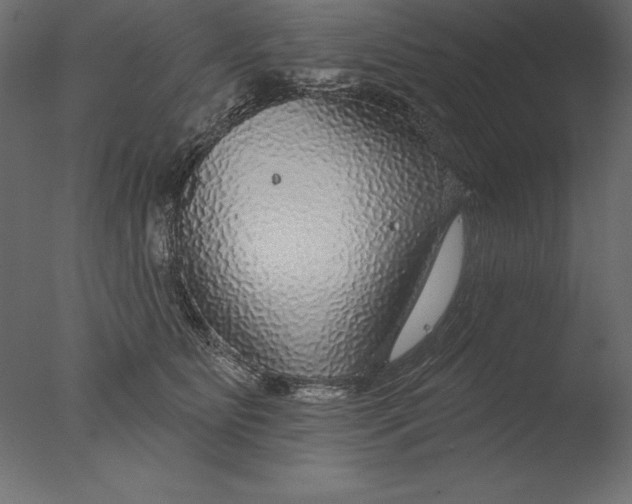 X0000076340515200610201737