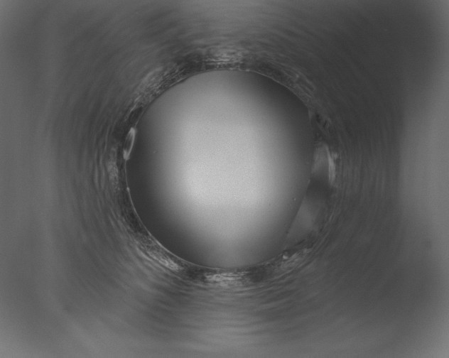 X0000076340516200610201737