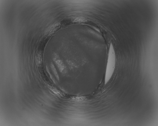 X0000076340517200610201737