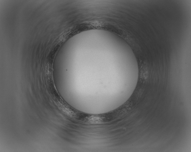 X0000076340518200610201737