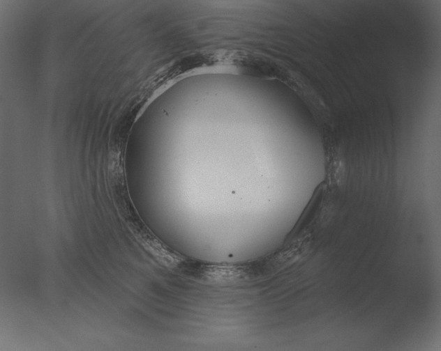 X0000076340521200610201737