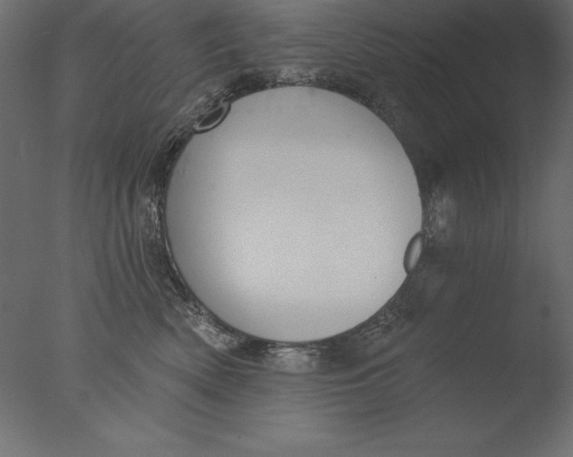 X0000076340522200610201737
