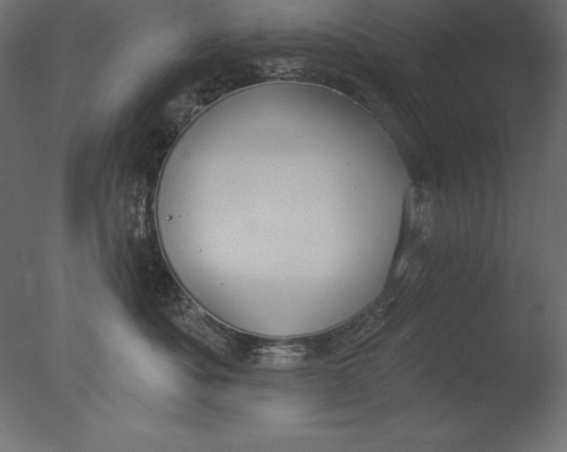 X0000076340525200610201737