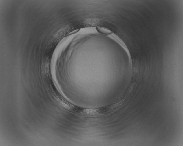 X0000076340526200610201737