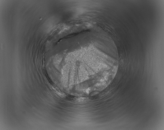 X0000076340527200610201737