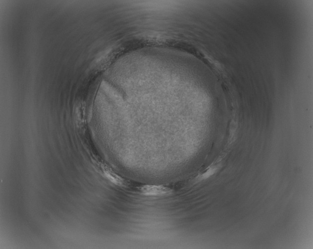 X0000076340528200610201737