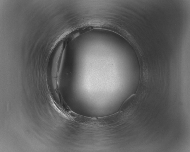 X0000076340530200610201735