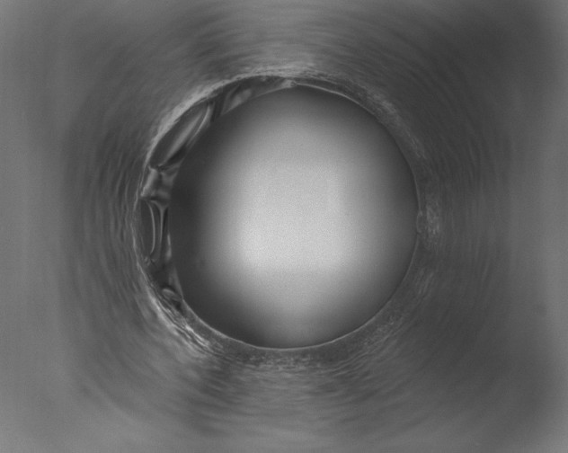 X0000076340532200610201736