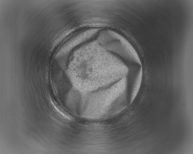 X0000076340533200610201736