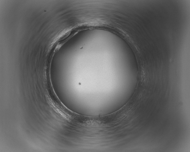 X0000076340535200610201736