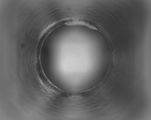 X0000076340536200610201736