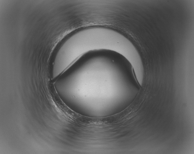 X0000076340540200610201736