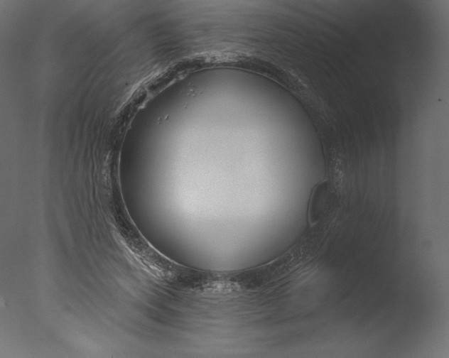 X0000076340543200610201736