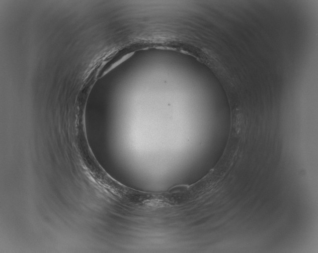 X0000076340544200610201736