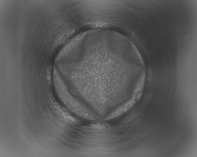 X0000076340545200610201736