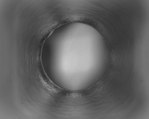 X0000076340546200610201736