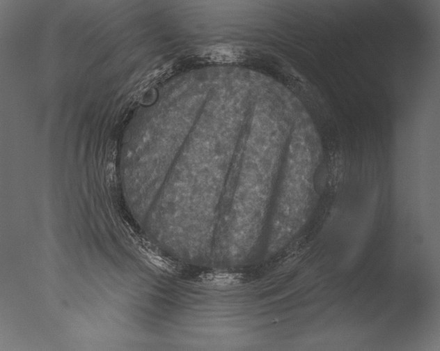 X0000076340553200610201736