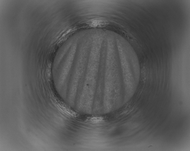 X0000076340554200610201736