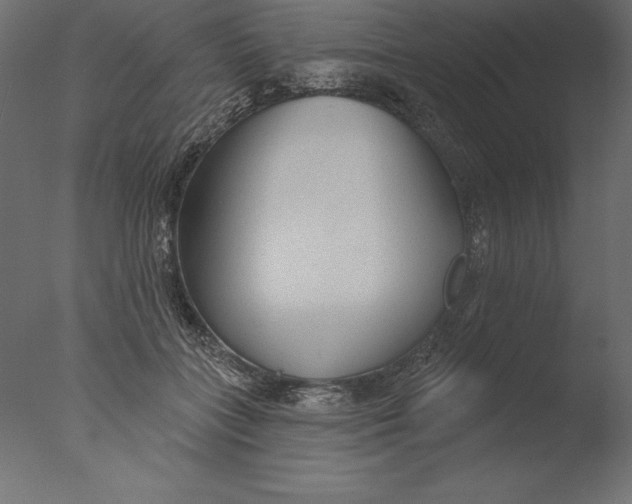 X0000076340555200610201736