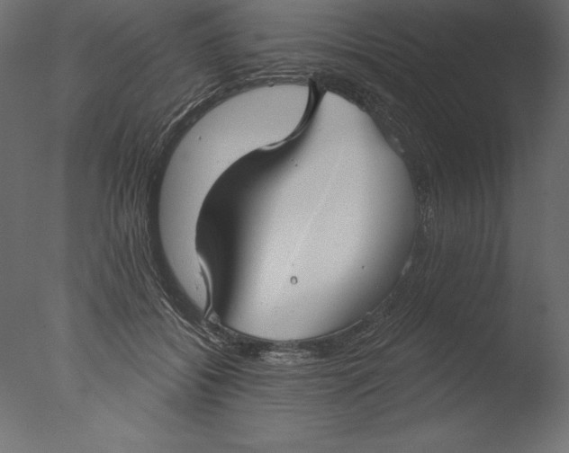 X0000076340556200610201736