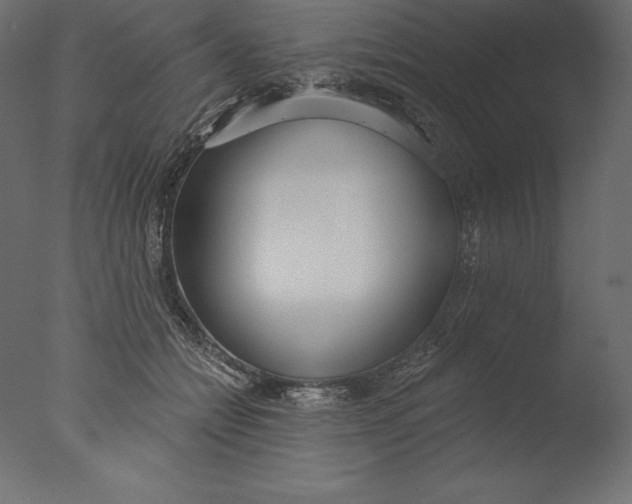 X0000076340558200610201736