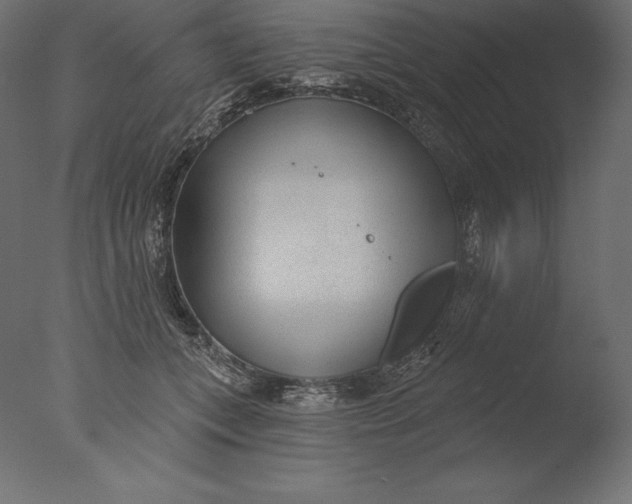 X0000076340559200610201736