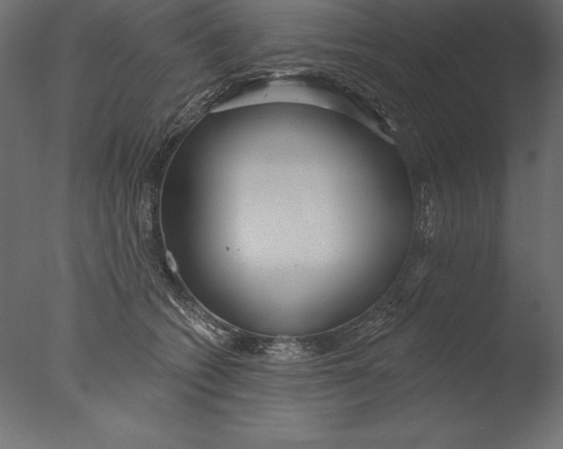 X0000076340562200610201736