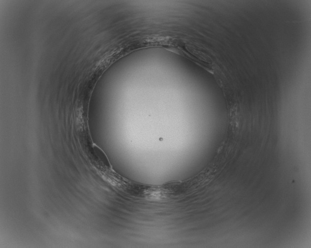 X0000076340564200610201736