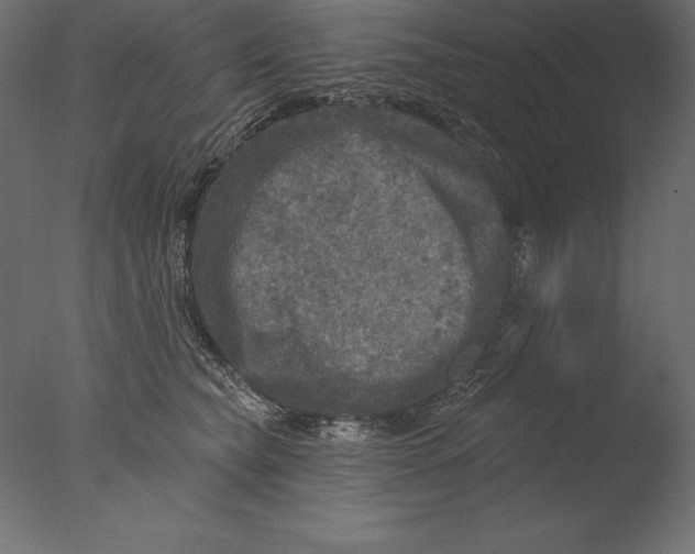X0000076340565200610201736