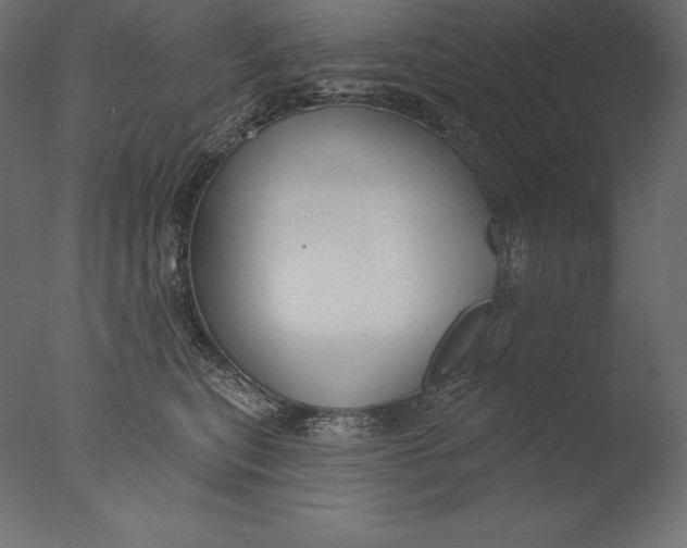 X0000076340567200610201737