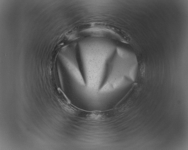 X0000076340570200610201737