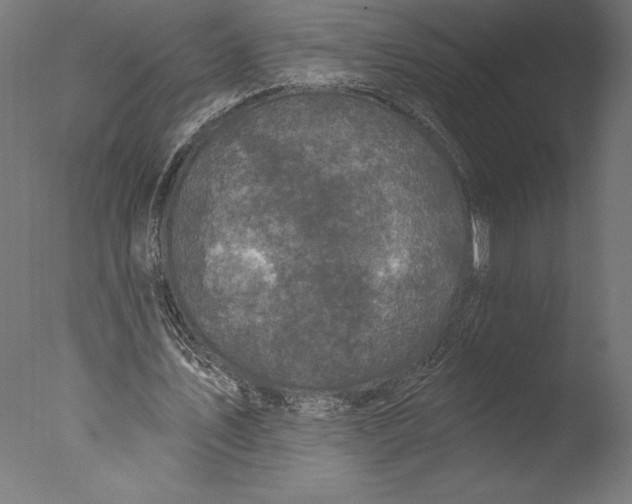 X0000076340579200610201735
