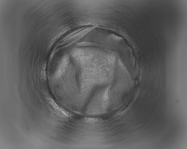 X0000076340585200610201735